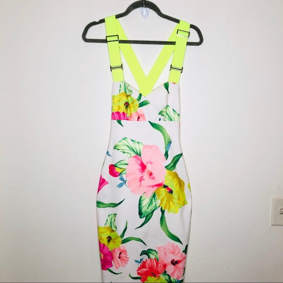 ted baker taylar dress